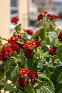 Giardino di B&B S'Unda Jara