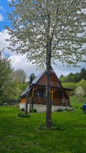 Taman di luar Planinska brvnara