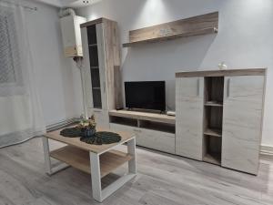 TV a/nebo společenská místnost v ubytování TRB Apartment