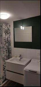 a bathroom with a sink and a shower curtain at La Datcha d Elvira - Maison de campagne au vert in Levroux
