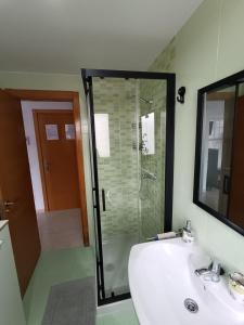 a bathroom with a shower and a sink and a mirror at Estudio Centro A Guarda in A Guarda
