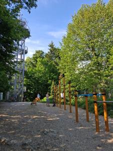 a playground with a dog in a park at LAND FOR YOUR TENT NEXT TO A RIVER WITH A GARDEN SHACK ROOM you get two bicycles for amazing views and two water floats for a nice river run USE THE LOCATION NOT THE ADDRESS TO GET HERE bathroom is a bit different so check YouTube video RiverRunDusko in Ljubljana