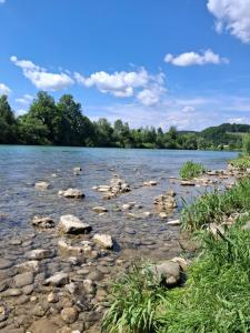 a river with rocks and trees in the background at LAND FOR YOUR TENT NEXT TO A RIVER WITH A GARDEN SHACK ROOM you get two bicycles for amazing views and two water floats for a nice river run USE THE LOCATION NOT THE ADDRESS TO GET HERE bathroom is a bit different so check YouTube video RiverRunDusko in Ljubljana +37 photos