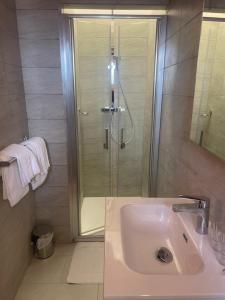 Un baño con lavabo y ducha de cristal. en Hotel Les Calanques, en Piana