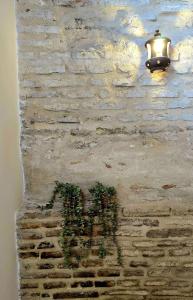 a light hanging on a stone wall with plants at Arena Centro Rooms&Suites, by Homing U in Seville