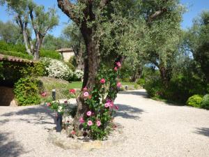 A garden outside Apartment Cézanne with heated pool and private garden