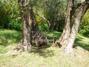 A garden outside Apartment Cézanne with heated pool and private garden