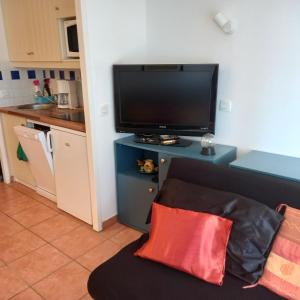 ein Wohnzimmer mit Fernseher und Sofa in der Unterkunft T2 32m2 terrasse 8m2 PISCINE LACANAU OCEAN LAC GOLF MULTISPORT in Lacanau-Océan