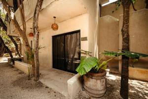 Fotografie z fotogalerie ubytování Ama y Prana v destinaci Tulum