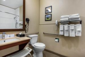 Comfort Inn & Suites Montgomery East Carmichael Rd的一间浴室