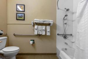 Comfort Inn & Suites Montgomery East Carmichael Rd的一间浴室