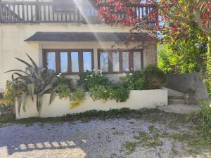 una casa con finestre e piante davanti di Le studio - La maison de la côte des légendes a Plounéour-Trez