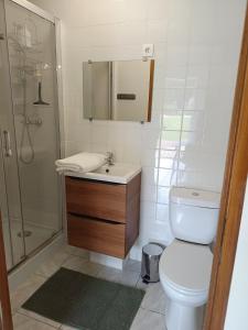 a bathroom with a toilet and a sink and a shower at Studio équipé, proche aéroport in Bouguenais +1 photo