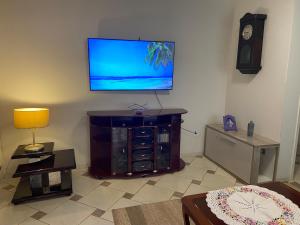 TV a/nebo společenská místnost v ubytování Recevoir Garden Suítes