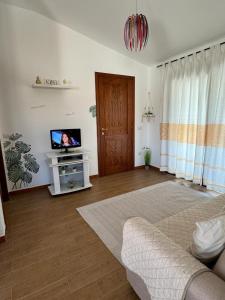 Una sala de estar con un sofá y un televisor. en Federica's House, en Olbia