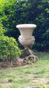 A garden outside Villino San Silvestro