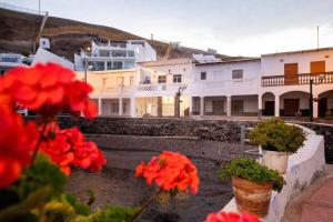 a group of buildings with flowers in front of them at Casa Nutria - Pucusana Las Ninfas - Beach and Sea in Pucusana