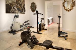 Fitness centrum a/nebo fitness zařízení v ubytování La Maison des Augustins 4 stars Spa et Fitness + 15 fotografií