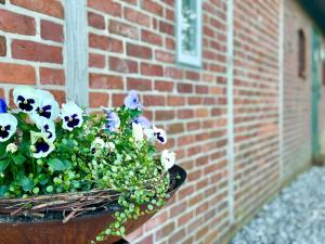 NorderfriedrichskoogReetdachhaus Für Erholsamen Familienurlaub的砖墙里的盆栽花卉