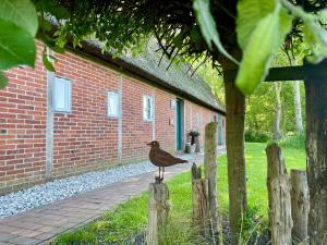 NorderfriedrichskoogReetdachhaus Für Erholsamen Familienurlaub的一只鸟坐在砖砌建筑前的篱笆上