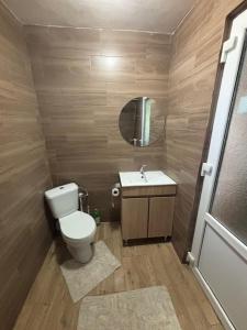 a small bathroom with a toilet and a sink at natoli in Căbeşti +8 photos