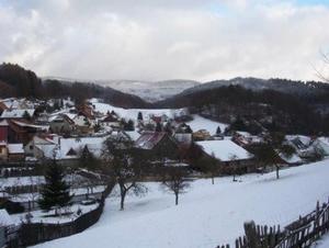 a snow covered village with houses and a fence at Ferienwohnung Lotti in Brotterode-Trusetal