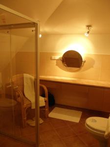 カジミエシュ・ドルニにあるApartament 42 Loft - Pod Aniołemのバスルーム(トイレ、鏡付)