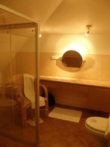 a bathroom with a toilet and a mirror at Apartament 42 Loft - Pod Aniołem in Kazimierz Dolny