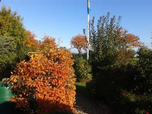 un cespuglio con una bandiera in un giardino di Ferienwohnung Zwergmöwe In Neue Tiefe a Fehmarn