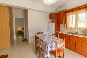 a kitchen with a table and chairs and a sink at Apartments Thekla in Karavádhos