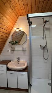 a bathroom with a sink and a shower at Ferienhaus Maria in Nagel