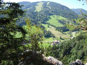 Příroda nedaleko apartmánu