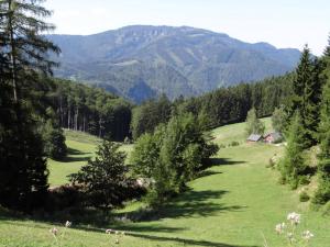 Příroda nedaleko apartmánu