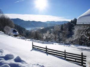 Příroda nedaleko apartmánu + 29 fotografií