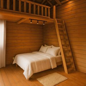 a bedroom with a bunk bed with a ladder at Natural Harmony Bungalow in Baturité