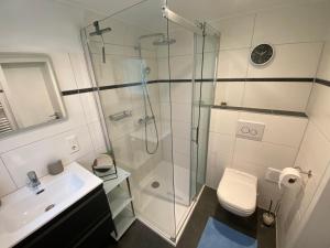 a bathroom with a shower and a toilet and a sink at Ferienhaus Meisenweg 1 in Schneverdingen