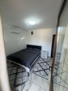 a bedroom with a bed in a room with a shower at xxx in Cernica