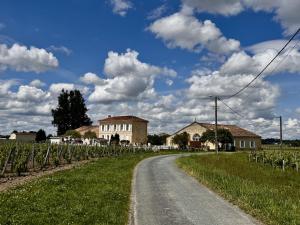 a dirt road in a vineyard with a house and clouds at Maison Destieu in Saint-Sulpice-de-Faleyrens