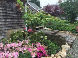 a garden with pink flowers and plants next to a house at Charles and Charles MV in Vineyard Haven