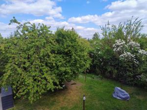 Un grupo de árboles en un patio con una lona azul. en Apartament Cichy, en Poznan