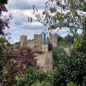 a castle in the middle of some trees at Les Demeures du Parc, la Bourbonnaise, proche des Thermes in Bourbon-lʼArchambault