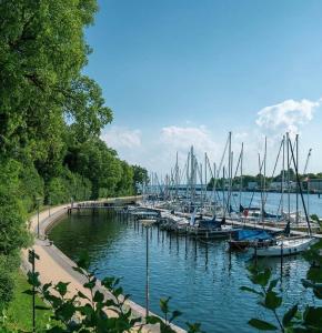 a bunch of boats are docked in a harbor at HAFENROMANTIK - Wohnen mit Charme im Herzen von Neustadt mit Blick auf das Binnenwasser in Neustadt in Holstein