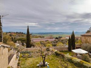 a view of a garden with a tree at Cor Magis in San Quirico dʼOrcia