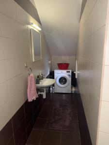 a small bathroom with a washing machine and a sink at Studio Sparky in Mostar
