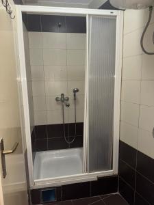a bath tub with a shower in a bathroom at Studio Sparky in Mostar