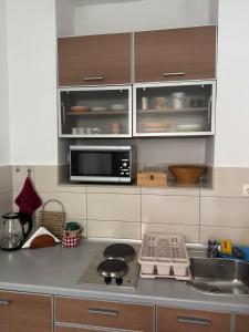 a kitchen with a sink and a microwave at Studio Sparky in Mostar