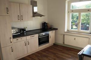 Kuchyň nebo kuchyňský kout v ubytování Ferienwohnung Askanier, Ballenstedt