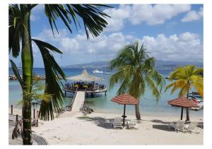 a beach with a pier and palm trees and a boat at Ti Paradis 1 in Les Trois-Îlets +13 photos