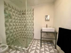 a bathroom with a shower and a sink at Arcade Art Loft in Johannesburg