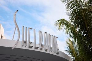 Fotografie z fotogalerie ubytování The Shelborne by Proper, a Member of Design Hotels v Miami Beach